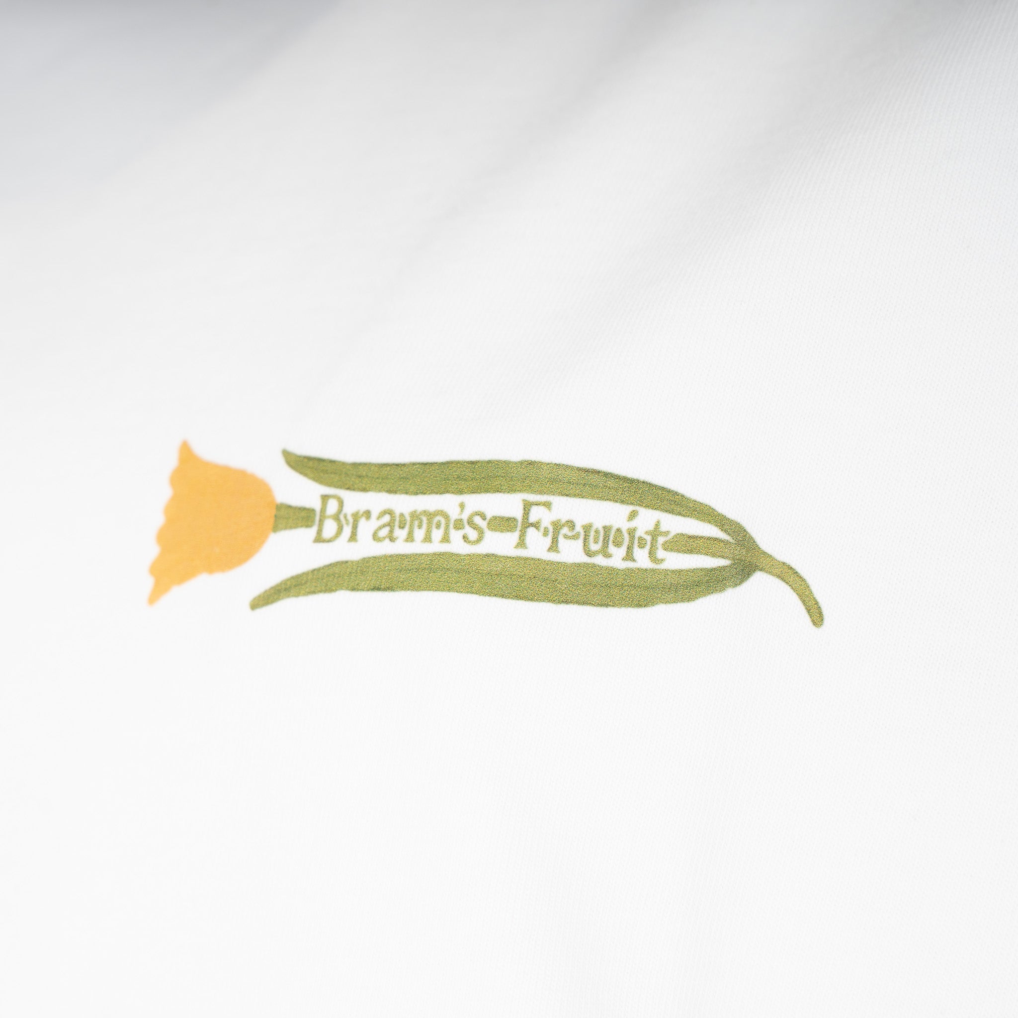 Bram's Fruit T-Shirt Backprint Wit | Botanical Tee