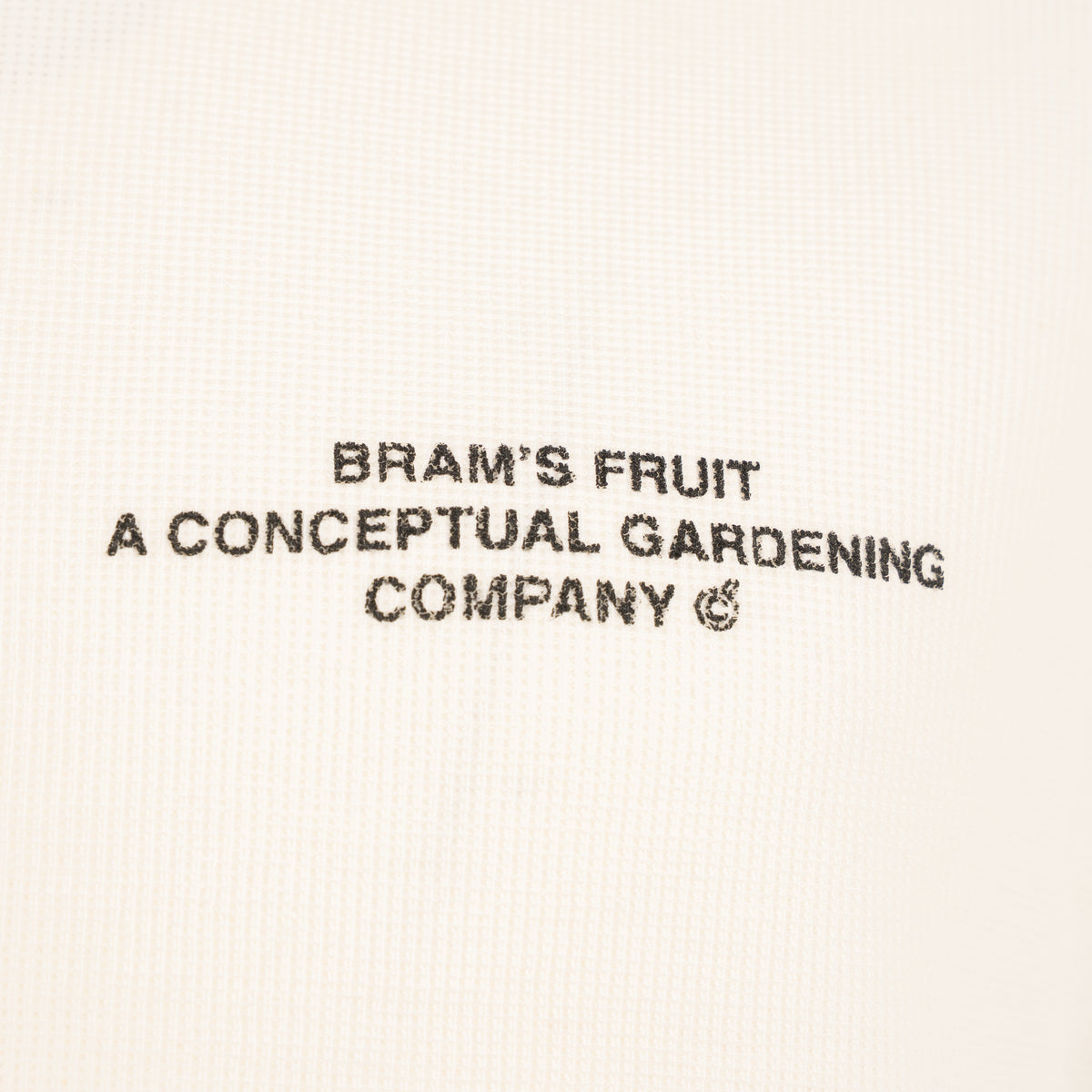 Bram's Fruit Longsleeve Wit | Stamp Waffle