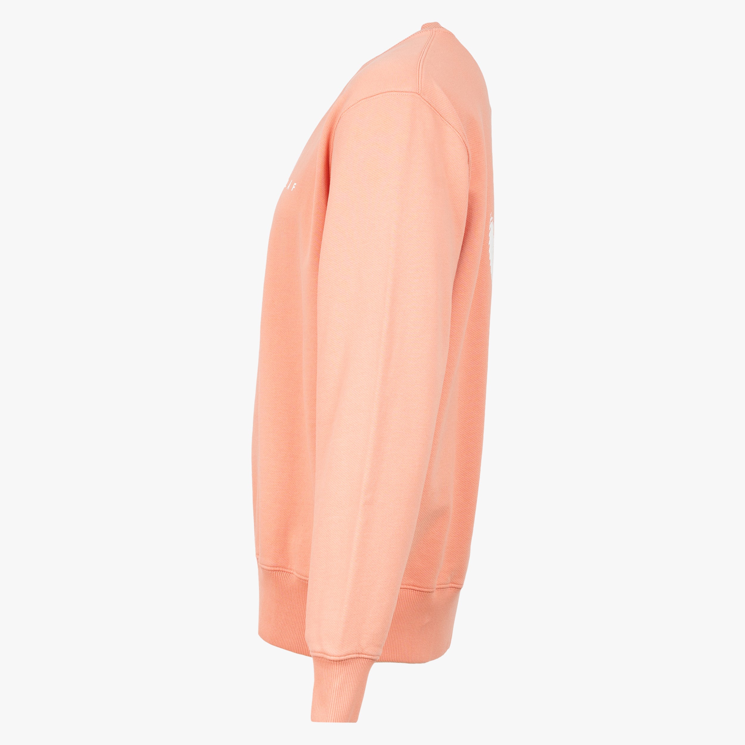 Olaf Sweater Backprint Roze | Brushstroke Face