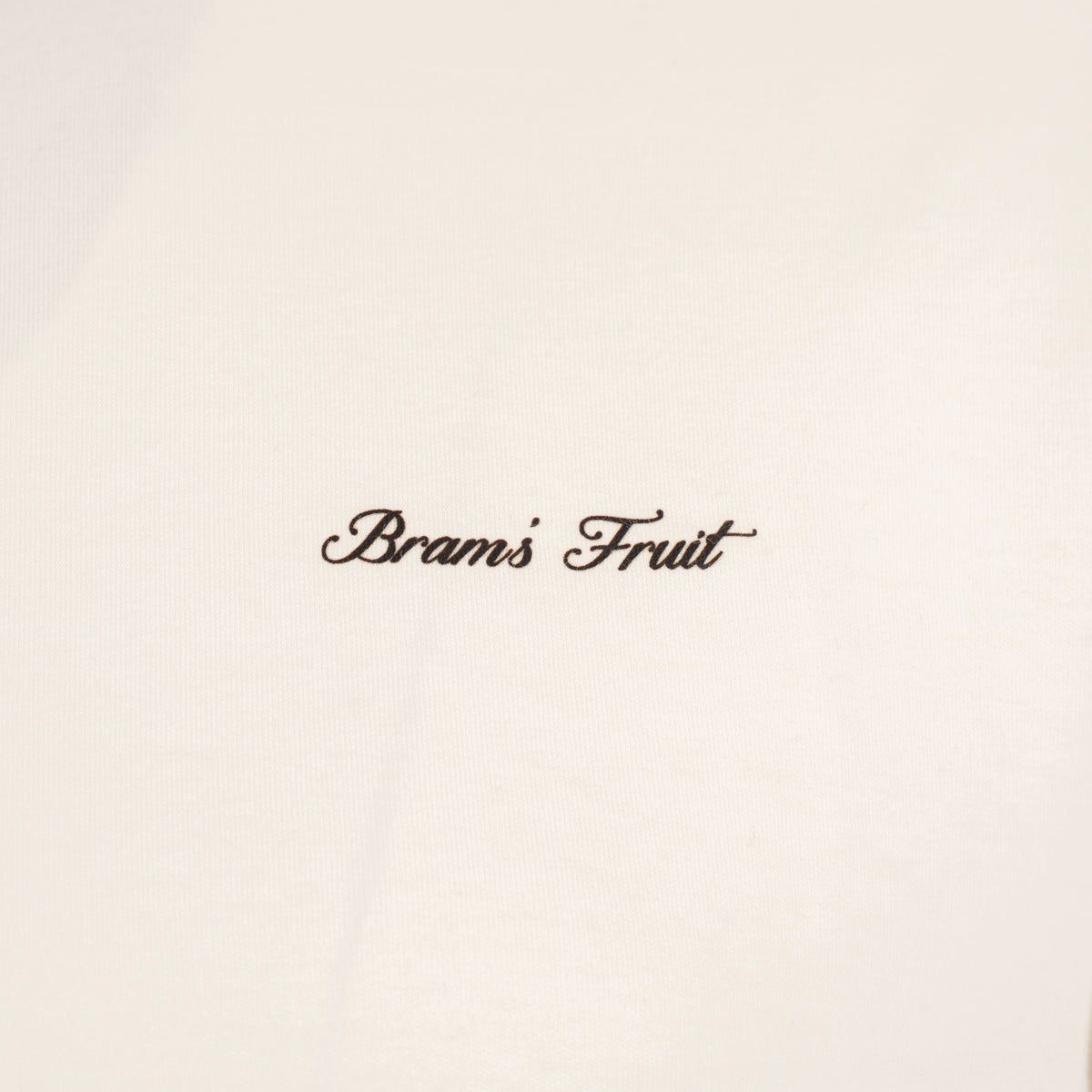 Bram's Fruit T-Shirt Wit | Fitted Script Logo