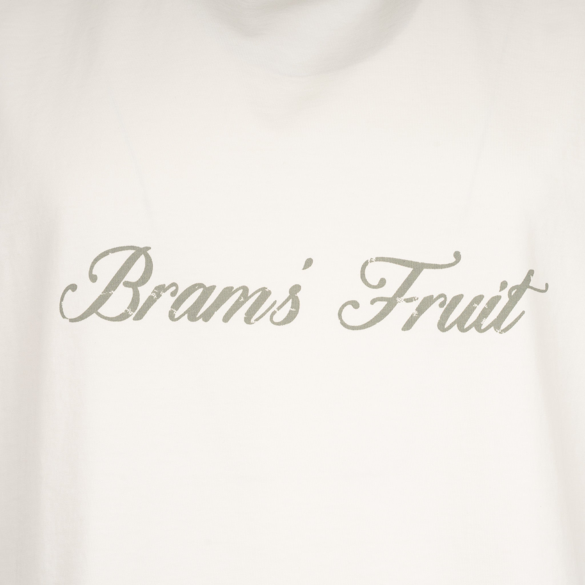 Bram's Fruit T-Shirt Off-White | Distressed Logo