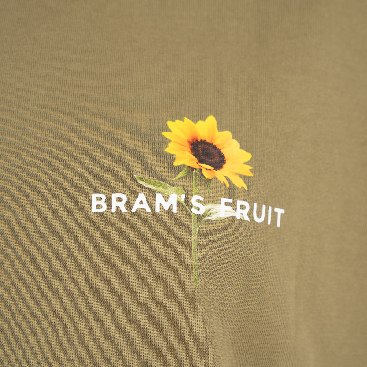 Bram's Fruit T-Shirt Backprint Groen | Sunflower