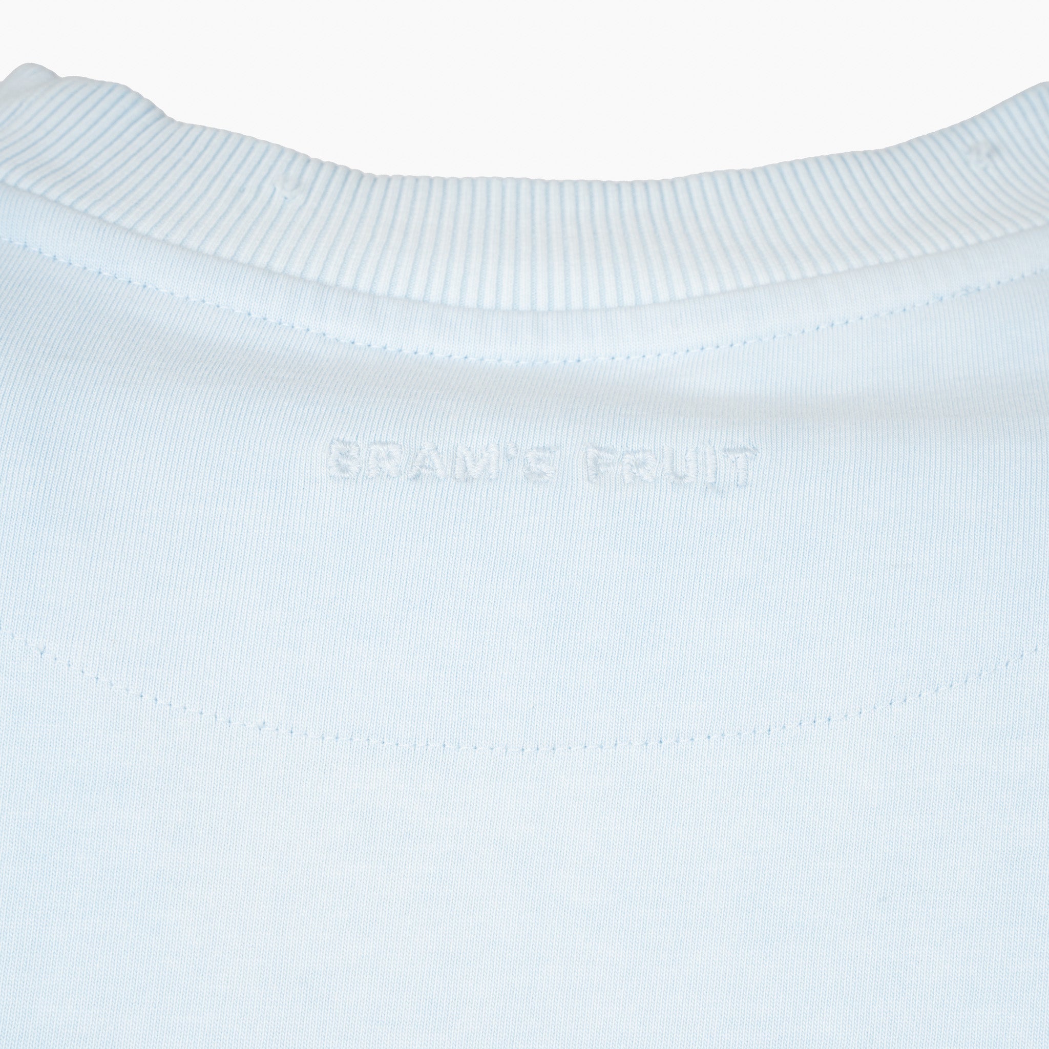Bram's Fruit T-Shirt Lichtblauw | Distressed Logo
